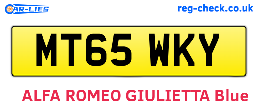 MT65WKY are the vehicle registration plates.