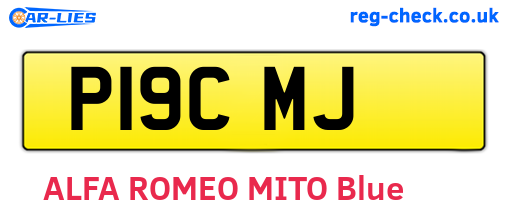 P19CMJ are the vehicle registration plates.
