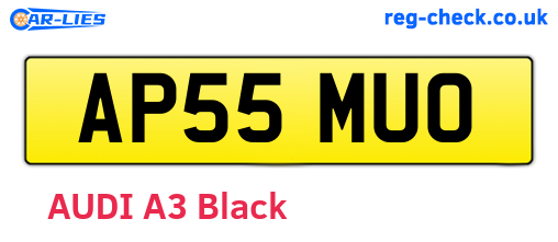 AP55MUO are the vehicle registration plates.
