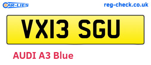 VX13SGU are the vehicle registration plates.
