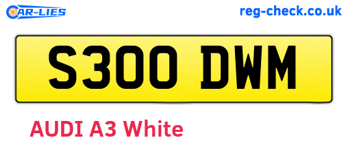 S300DWM are the vehicle registration plates.