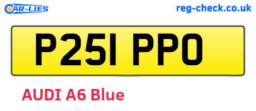 P251PPO are the vehicle registration plates.