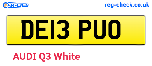 DE13PUO are the vehicle registration plates.