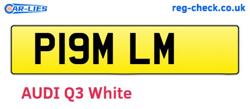 P19MLM are the vehicle registration plates.