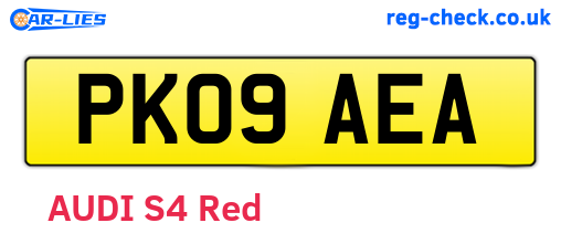 PK09AEA are the vehicle registration plates.
