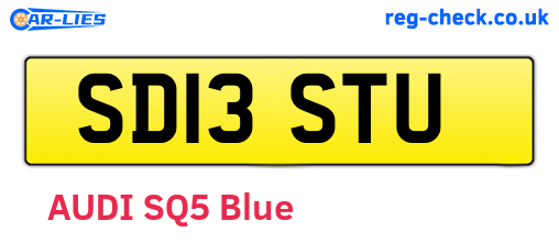 SD13STU are the vehicle registration plates.
