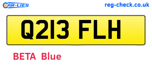 Q213FLH are the vehicle registration plates.