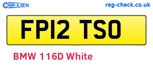 FP12TSO are the vehicle registration plates.