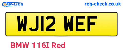 WJ12WEF are the vehicle registration plates.