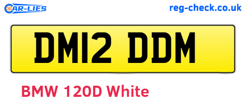 DM12DDM are the vehicle registration plates.