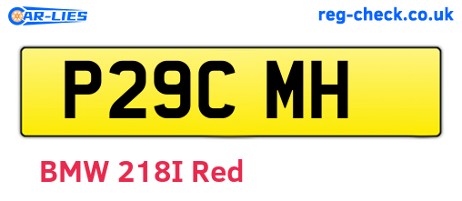 P29CMH are the vehicle registration plates.