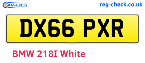 DX66PXR are the vehicle registration plates.