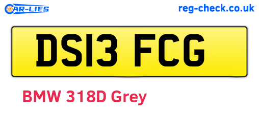 DS13FCG are the vehicle registration plates.