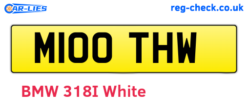 M100THW are the vehicle registration plates.