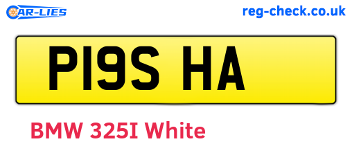 P19SHA are the vehicle registration plates.