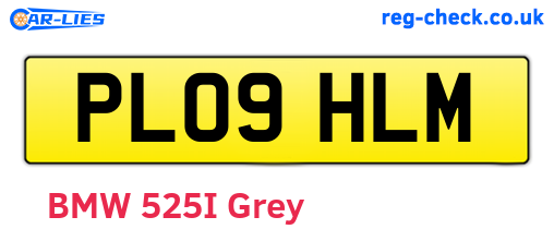 PL09HLM are the vehicle registration plates.