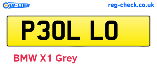 P30LLO are the vehicle registration plates.