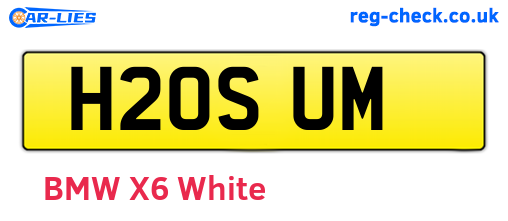 H20SUM are the vehicle registration plates.