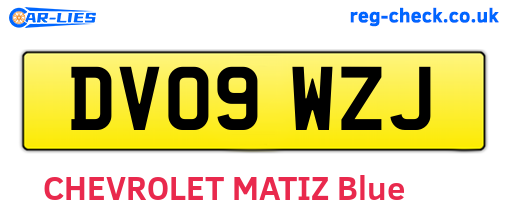 DV09WZJ are the vehicle registration plates.