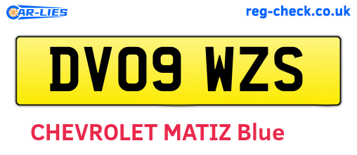 DV09WZS are the vehicle registration plates.