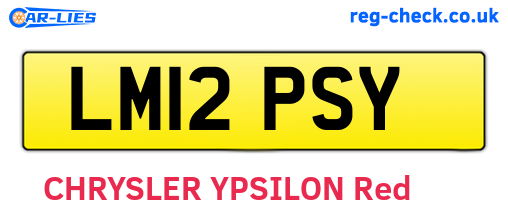 LM12PSY are the vehicle registration plates.
