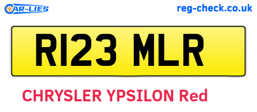 R123MLR are the vehicle registration plates.