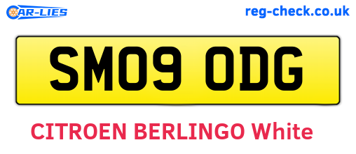 SM09ODG are the vehicle registration plates.