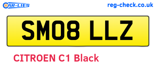 SM08LLZ are the vehicle registration plates.