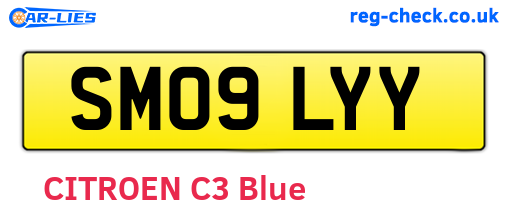 SM09LYY are the vehicle registration plates.