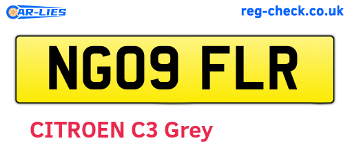 NG09FLR are the vehicle registration plates.