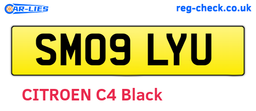 SM09LYU are the vehicle registration plates.