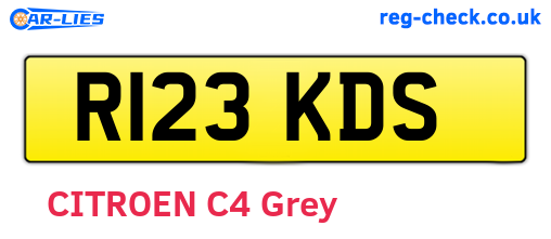 R123KDS are the vehicle registration plates.