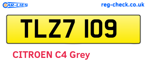 TLZ7109 are the vehicle registration plates.