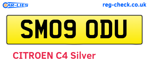 SM09ODU are the vehicle registration plates.