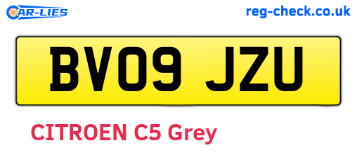 BV09JZU are the vehicle registration plates.