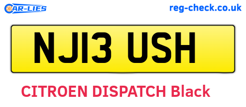 NJ13USH are the vehicle registration plates.