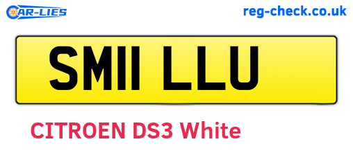 SM11LLU are the vehicle registration plates.