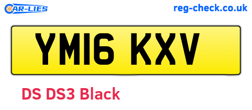 YM16KXV are the vehicle registration plates.