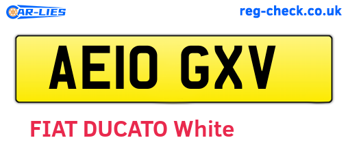 AE10GXV are the vehicle registration plates.