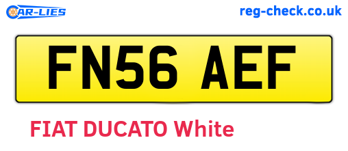 FN56AEF are the vehicle registration plates.