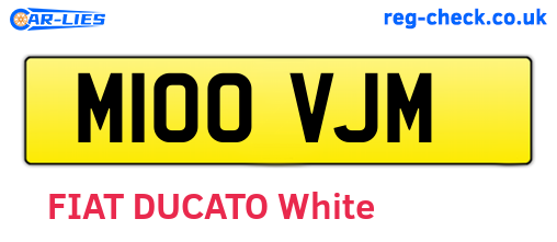M100VJM are the vehicle registration plates.