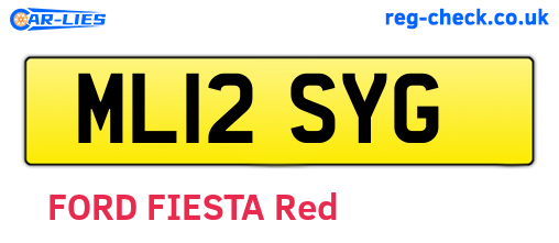 ML12SYG are the vehicle registration plates.