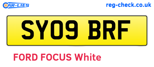 SY09BRF are the vehicle registration plates.