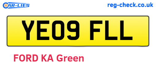 YE09FLL are the vehicle registration plates.