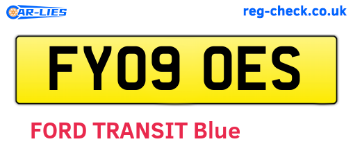 FY09OES are the vehicle registration plates.