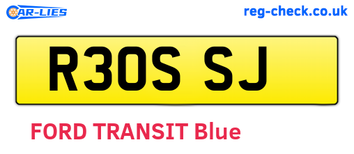 R30SSJ are the vehicle registration plates.