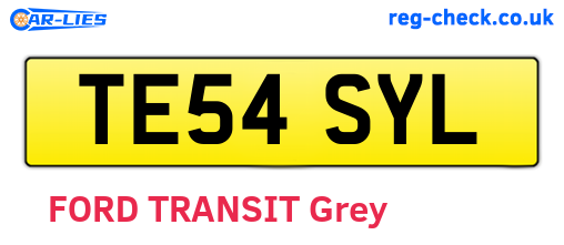 TE54SYL are the vehicle registration plates.