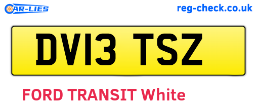 DV13TSZ are the vehicle registration plates.