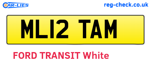 ML12TAM are the vehicle registration plates.