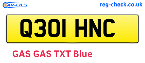 Q301HNC are the vehicle registration plates.